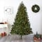 7.5ft. Pre-Lit Royal Grand Artificial Christmas Tree, Clear Lights